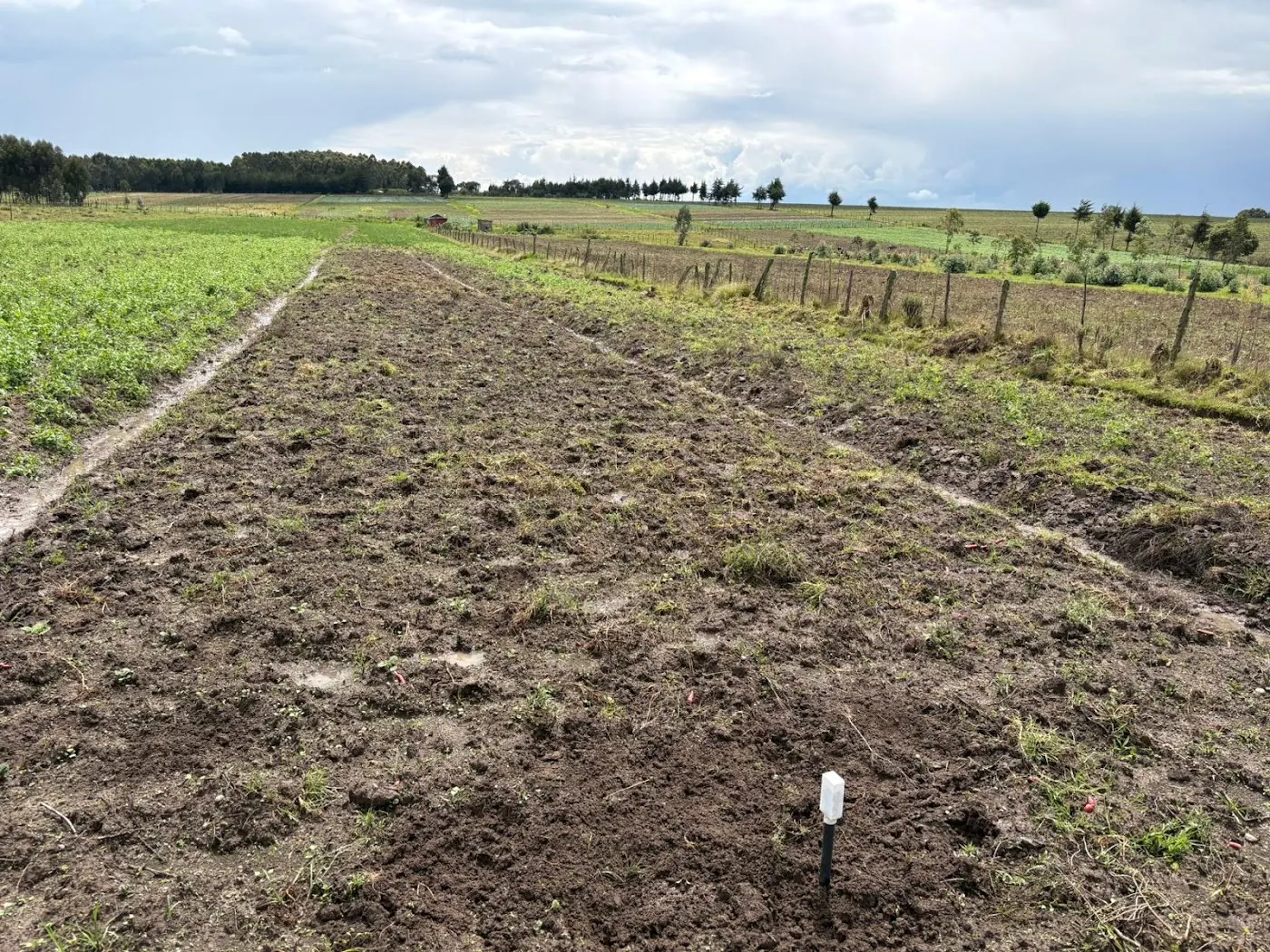 A soil probe in a freshly worked field under cloudy skies