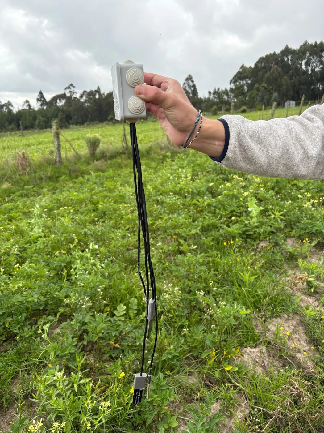 A soil sensor held up with its probes hanging over a green field
