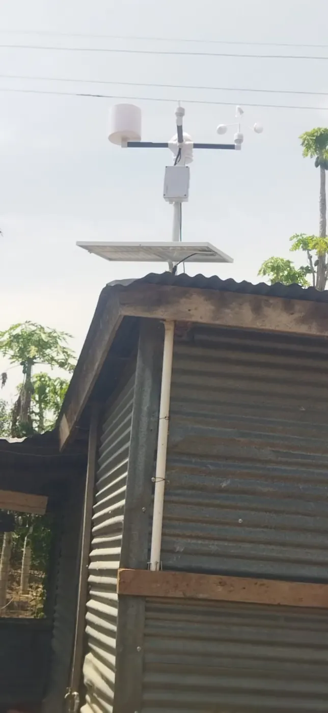 A weather station above a shed roof beside pawpaw trees